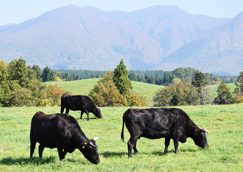 肉へのこだわり